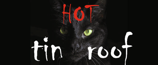 Hot Tin Roof is looking for a great bass player 