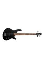 Metalcore Deathcore Bassist wanted