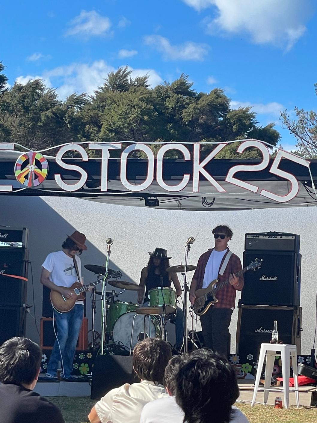 Bass player wanted Auckland 