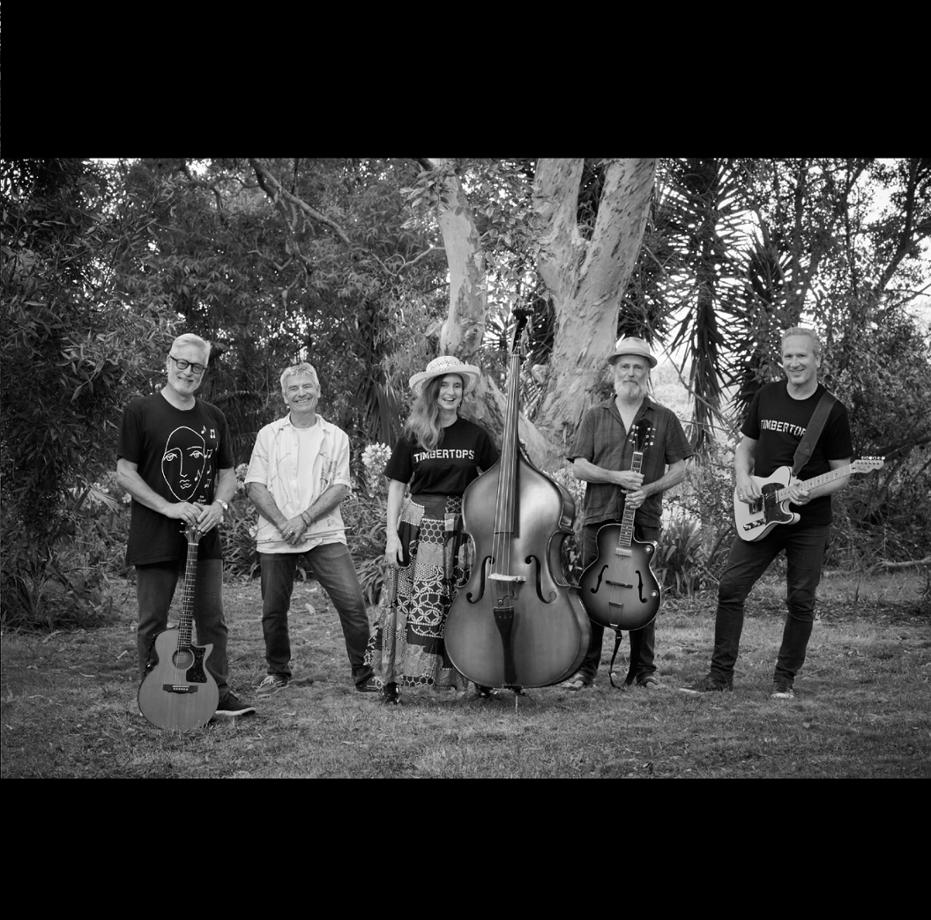 Open to gigs in 2025 Timbertops 5 piece Folk Rockn Roll with a twist 