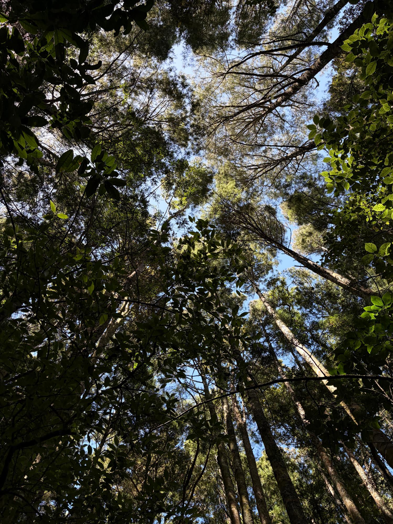 Vocalist looking to connect with musicians band members