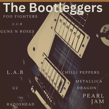 Lead Guitarist for coverband