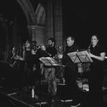 Lead Male Vocalist Wanted Auckland Soul Funk Band
