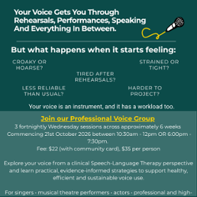 Professional Voice Users Group