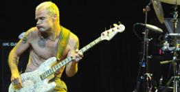 Bassist wanted for blues rock band