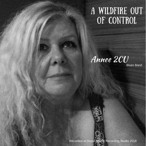 Annee 2CU Blues Band requires Experienced Guitarist