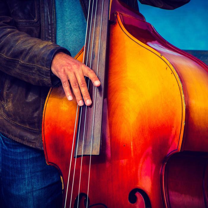 Upright Bassist
